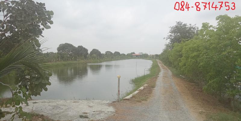 บ้านพร้อมที่ดิน 18000000 นครปฐม บางเลน บางเลน